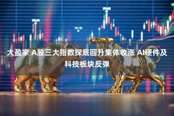 大盈家 A股三大指数探底回升集体收涨 AI硬件及科技板块反弹