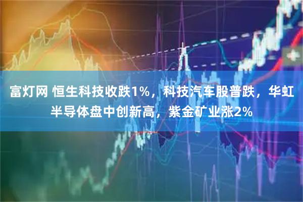 富灯网 恒生科技收跌1%，科技汽车股普跌，华虹半导体盘中创新高，紫金矿业涨2%