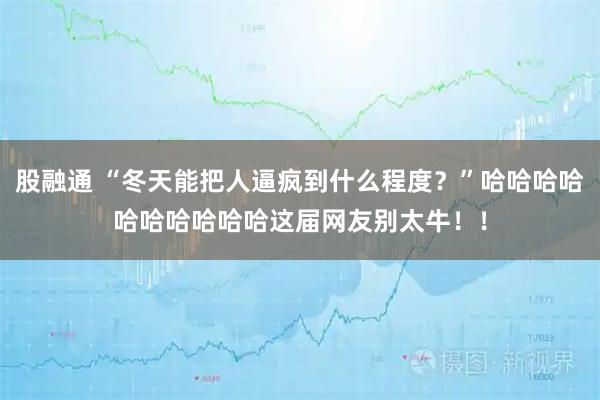 股融通 “冬天能把人逼疯到什么程度？”哈哈哈哈哈哈哈哈哈哈这届网友别太牛！！