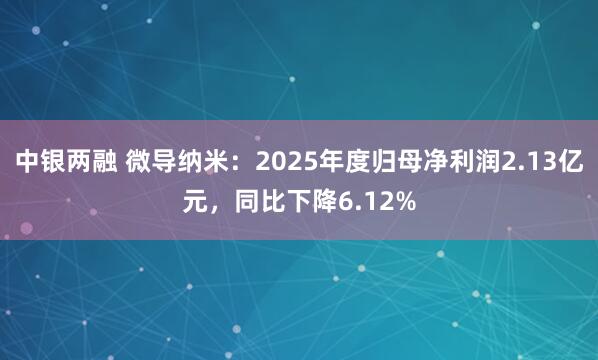 中银两融 微导纳米：2025年度归母净利润2.13亿元，同比下降6.12%